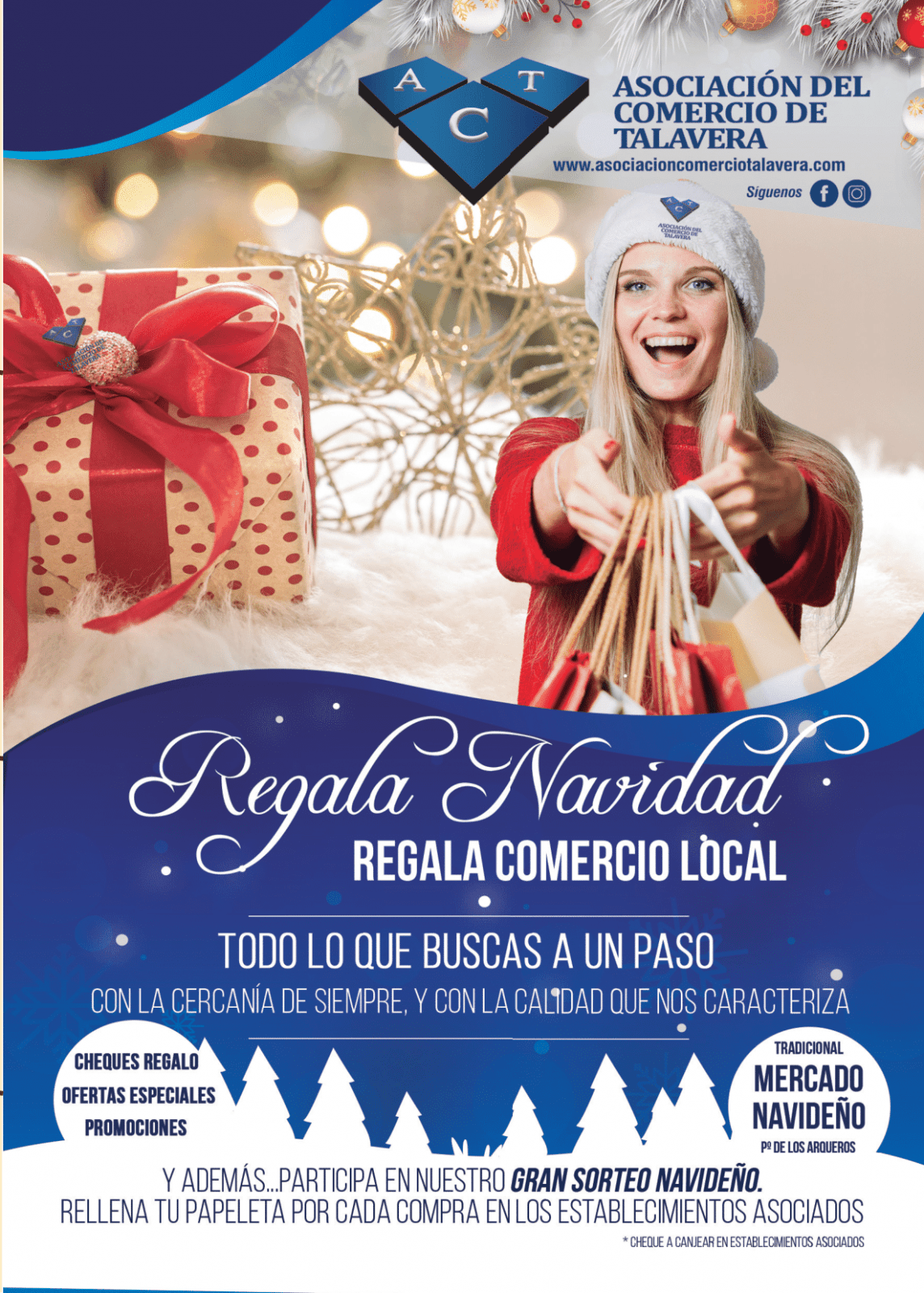 Folleto Navidad y Reyes AAFF