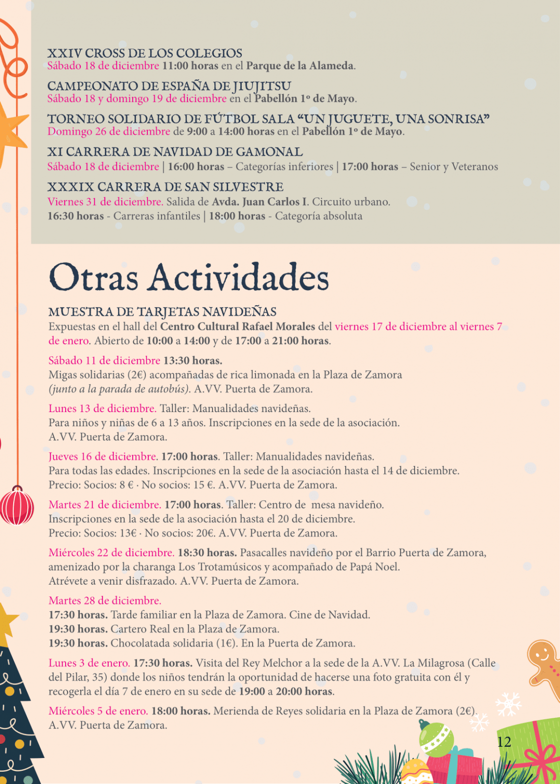 Folleto Navidad y Reyes AAFF