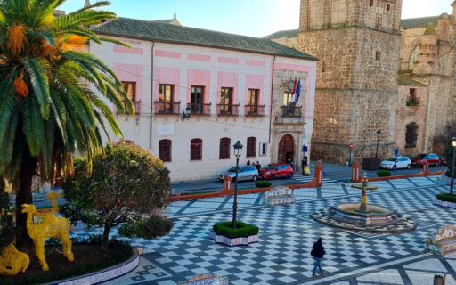 Concurso de fotografía