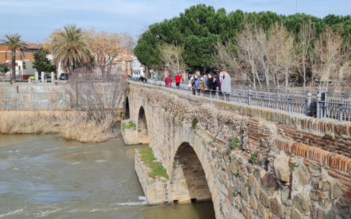 puente romano talavera bic