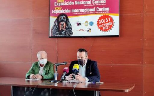 fotografia exposicion canina