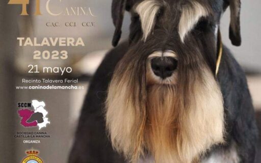 Cartel Ebora Dog Show